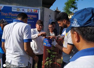 रोटरी क्लव अफ हेटौंडाको बृक्षारोपन कार्यक्रम सम्पन्न