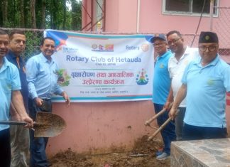 Tree Plantation Program