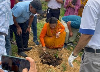 Tree plantation program completed at Chandrodaya Secondary School, Kamane-8