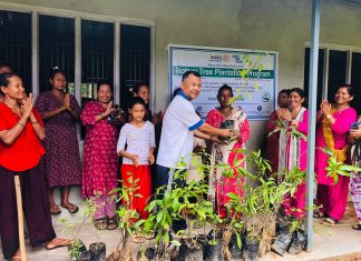 Tree plantation program completed at RCC Handikhola, Manahari Rural Municipality